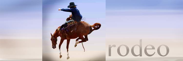 Interesting Things About Rodeos