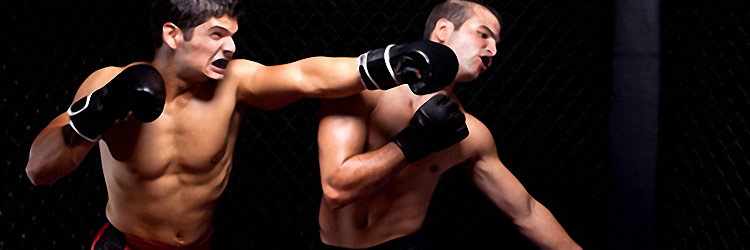 Combat Sports (MMA, Boxing)