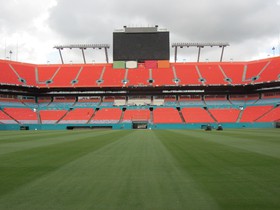 Cheap Miami Dolphins Tickets