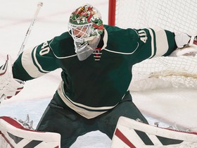 Cheap Minnesota Wild Tickets